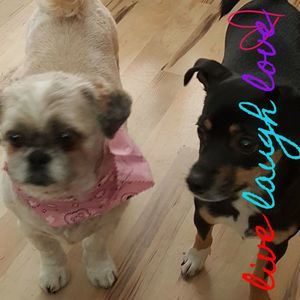 Meet your Posher, Sandra